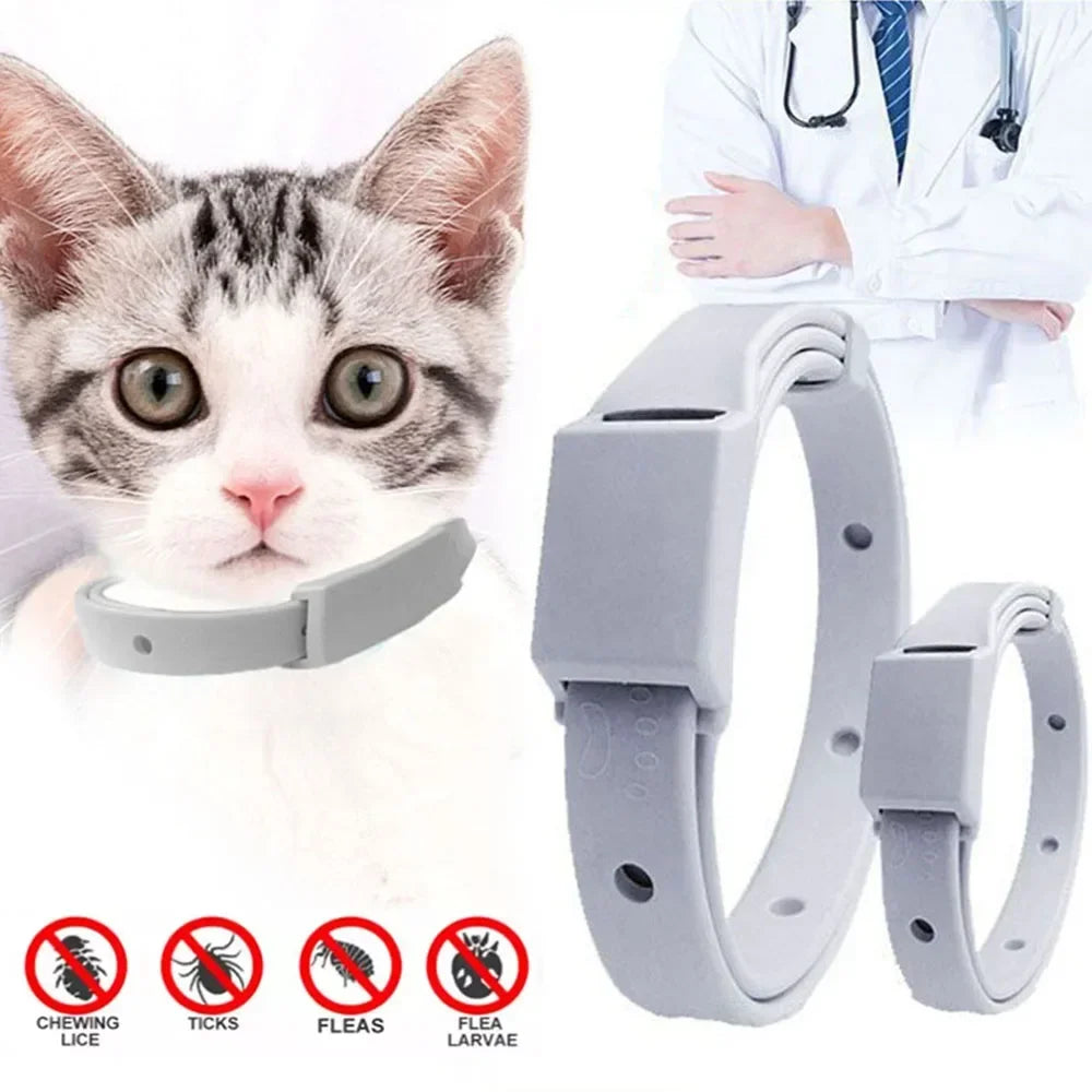 Flea & Tick Protection Collar