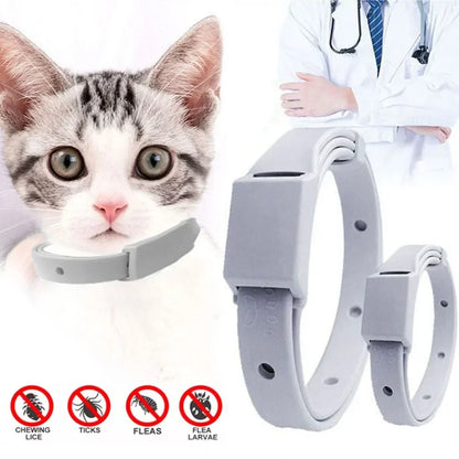 Flea & Tick Protection Collar