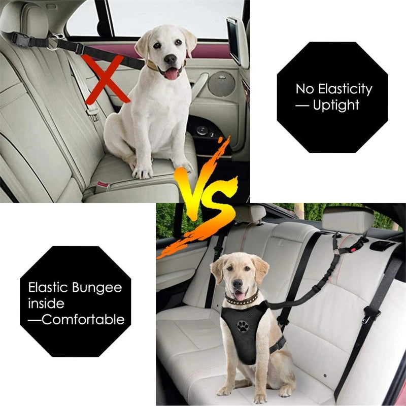 Reflective Dog Car Seat Belt