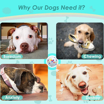 High-Elasticity Rubber Dog Ball Toy
