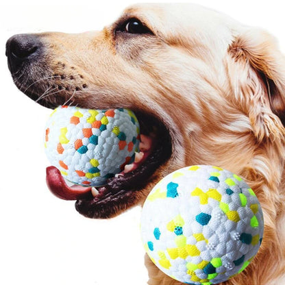 High-Elasticity Rubber Dog Ball Toy