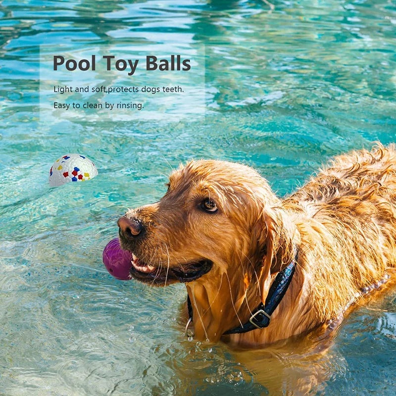 High-Elasticity Rubber Dog Ball Toy