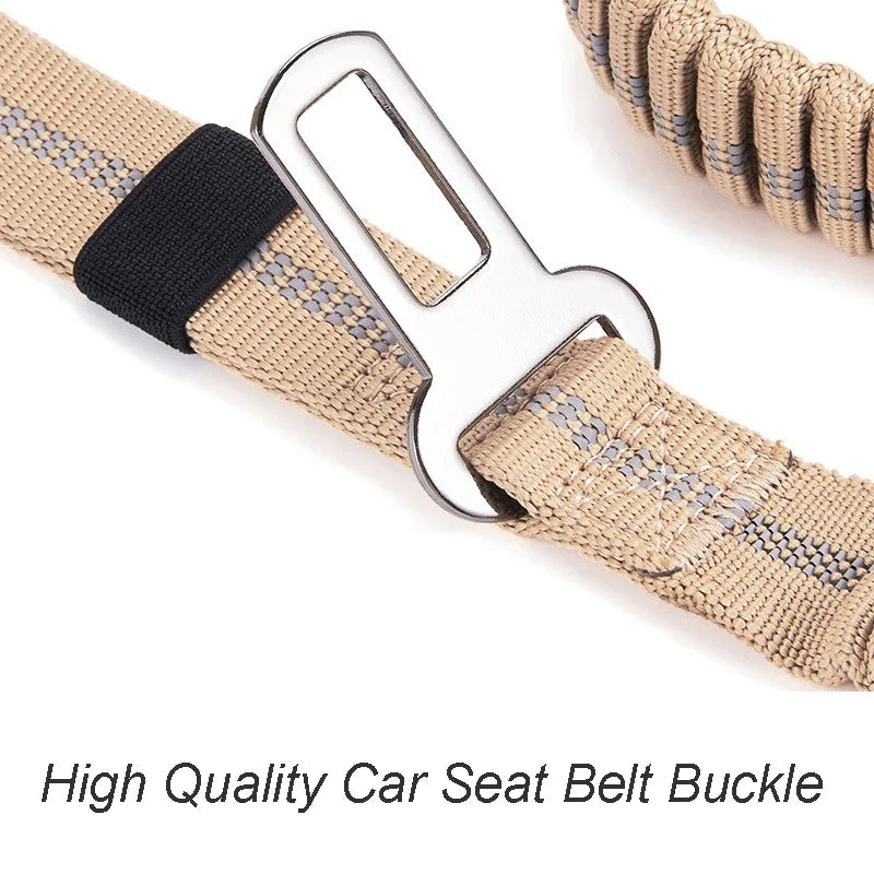 Bungee Dog Leash with Seatbelt Clip
