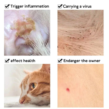 Flea & Tick Protection Collar