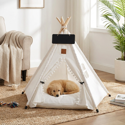 Bohemian Pet TeePee lifestyle