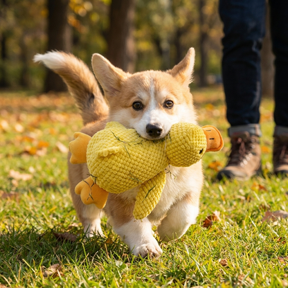 Calming Duck Dog Toy lifestyle