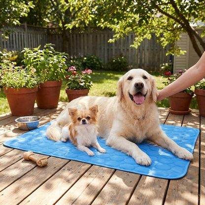 Cooling Dog Cat Mat lifestyle