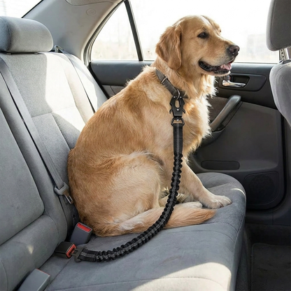 Bungee Dog Leash with Seatbelt Clip lifestyle