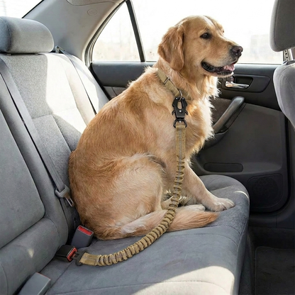 Long Khaki Bungee Dog Leash lifestyle