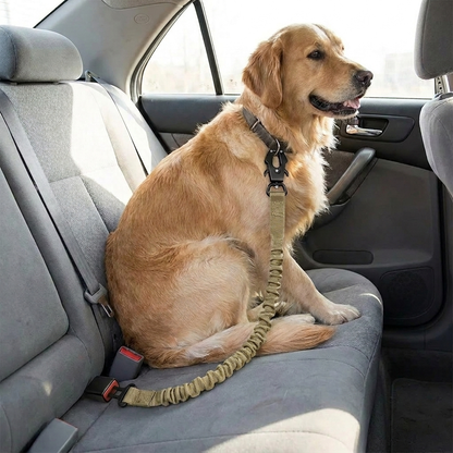 Short Khaki Bungee Dog Leash lifestyle