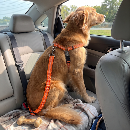 Adjustable Dog Car Seat Belt Harness lifestyle