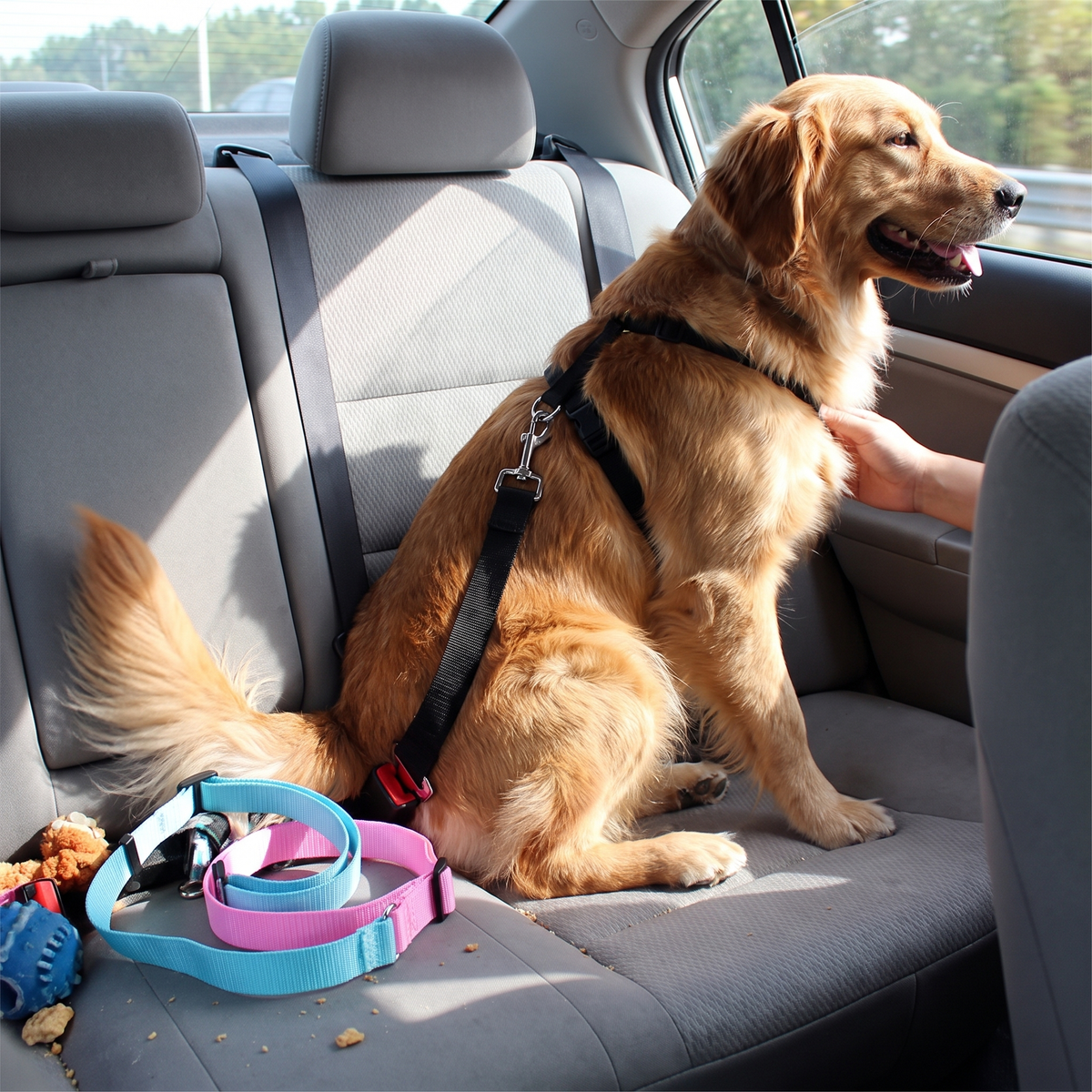 Dog & Cat Car Seat Belt Safety Clip lifestyle