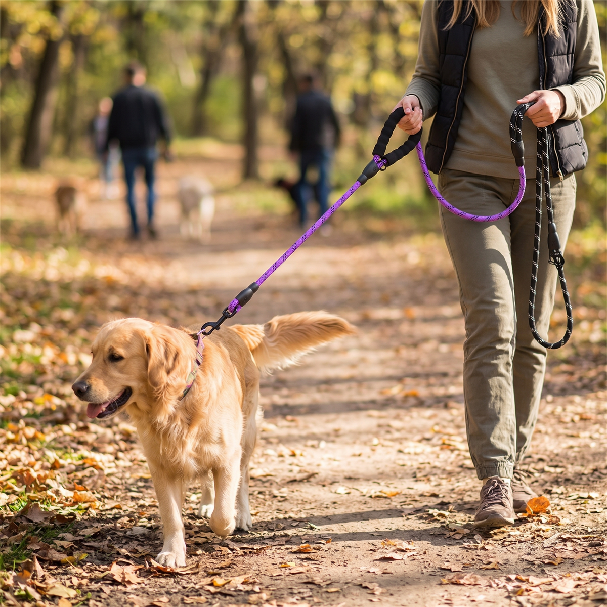 Reflective Nylon Dog Leash lifestyle